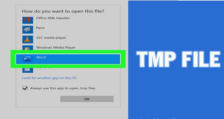 Open TMP File