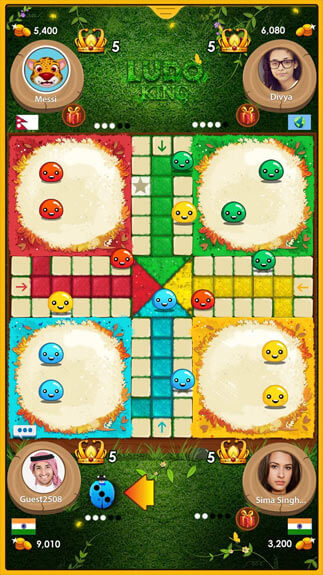 Ludo King3