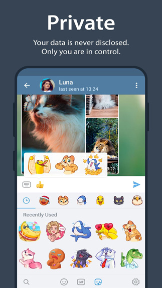 Telegram Messenger3