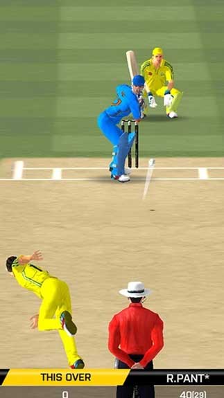 Real Cricket3