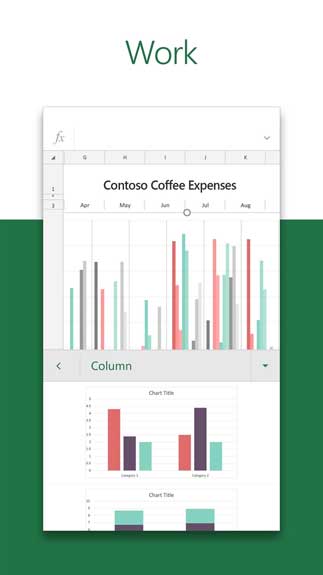 Microsoft Excel2